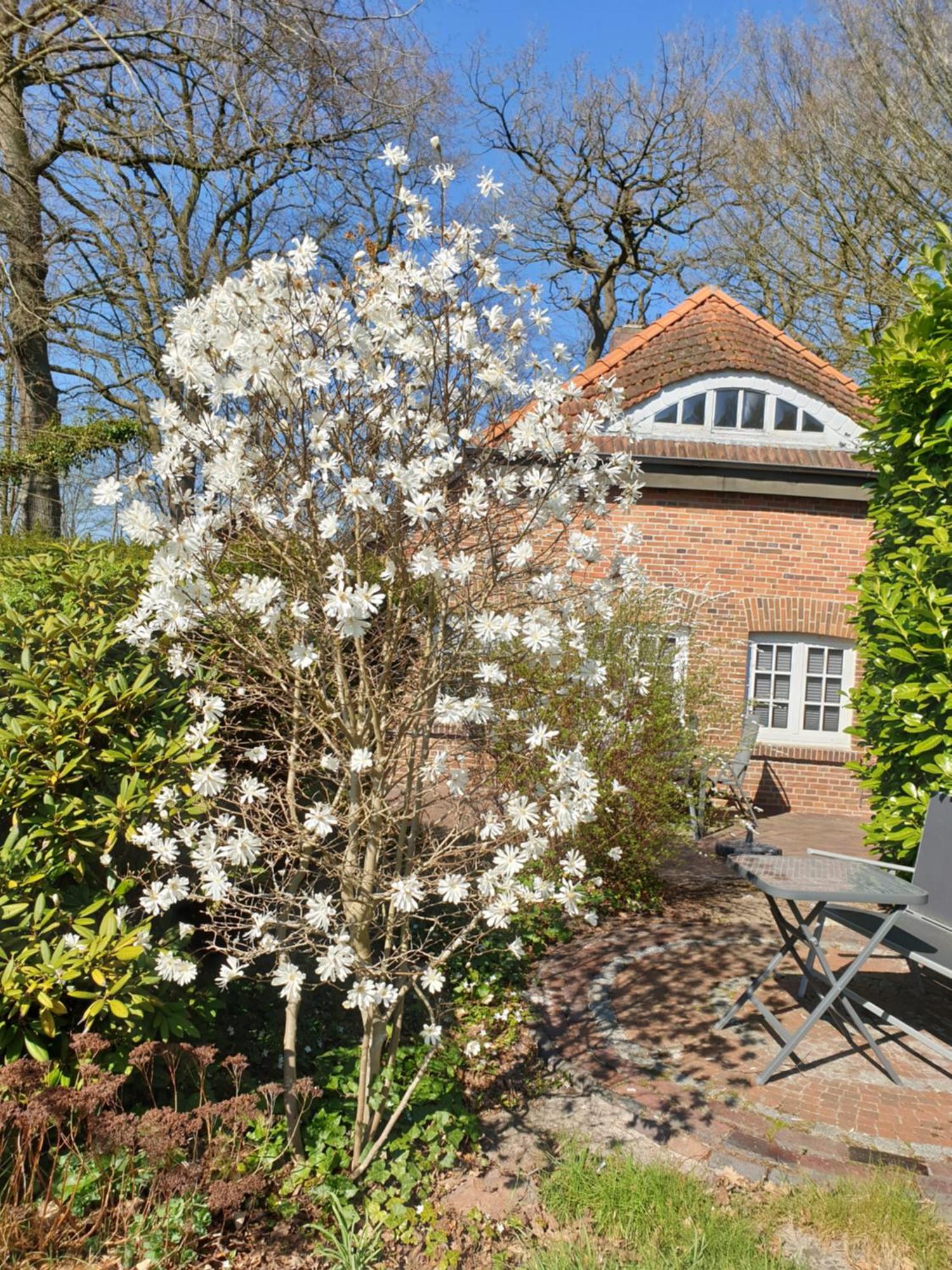 Ferienwohnung Kaminzimmer Westerstede Ngoại thất bức ảnh